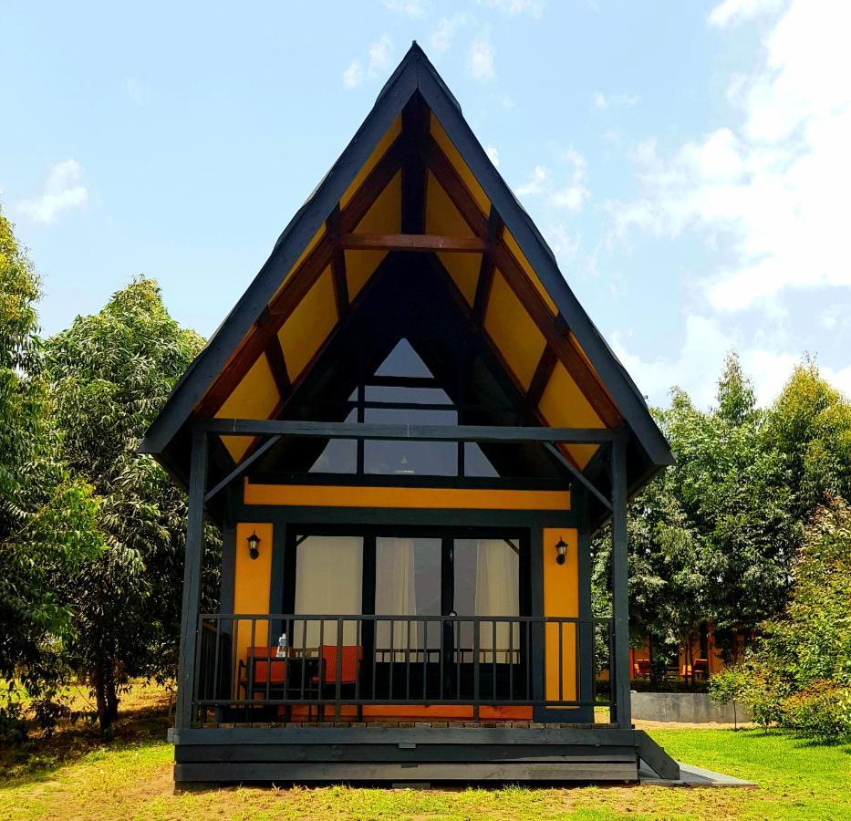 Shamba Lodge Cabin B Arusha Kültér fotó